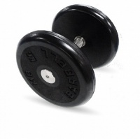 гантель классик с вращающейся ручкой хром 16 кг mb barbell mb-fdbem-b16